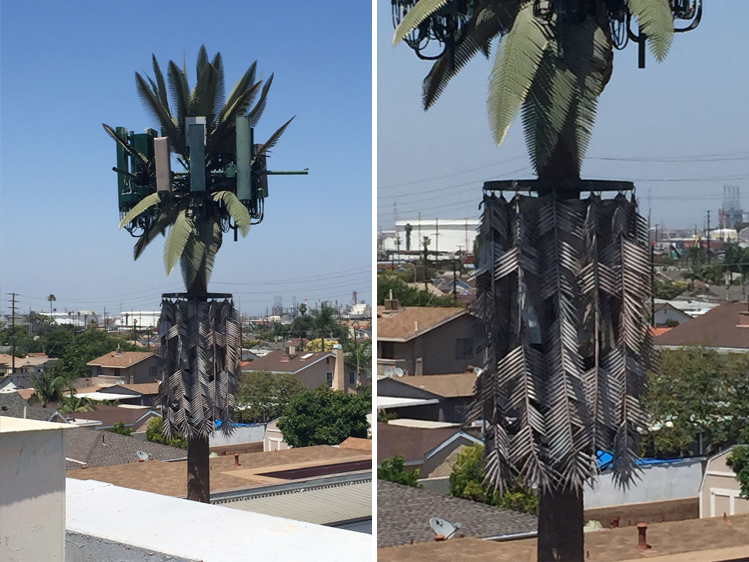 cell tower palm tree concealment project