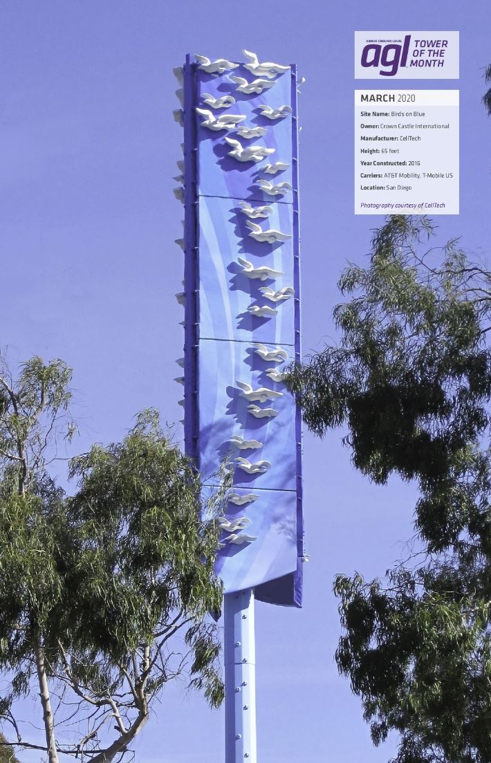 wireless concealment project Birds on Blue completed by CellTech